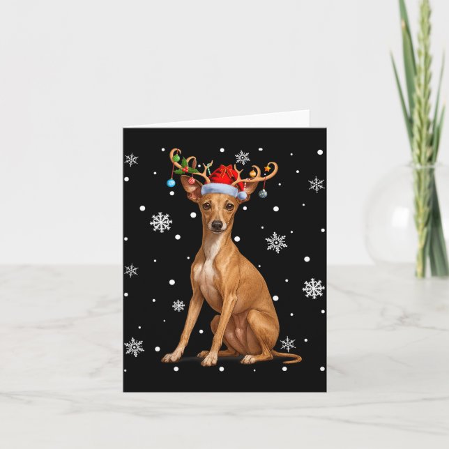 Christmas Lights Reindeer Santa Italian Ghound Xma Kort (Framsida)