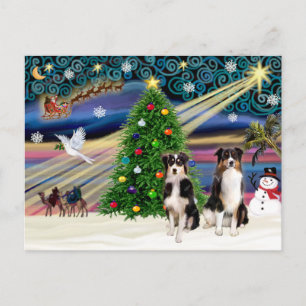 Christmas Magic Australian Shepherds (två, 6-7) Helg Vykort
