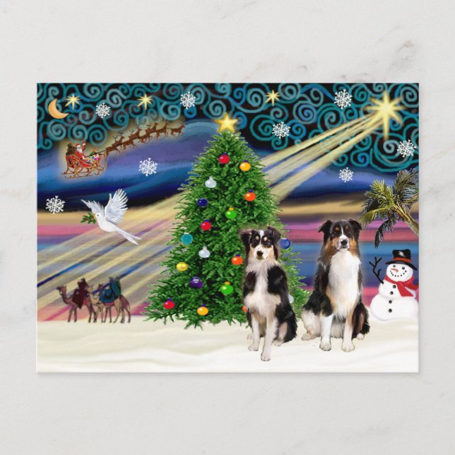 Christmas Magic Australian Shepherds (två, 6-7) Helg Vykort (Framsida)