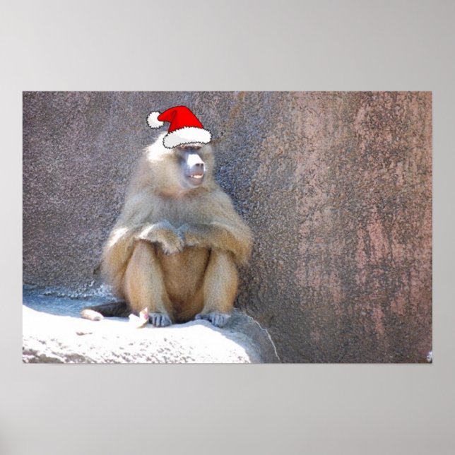 Christmas Monkeys and Baboons Poster (Framsidan)