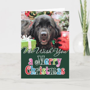 Christmas - Newfoundland - Izzie Helgkort