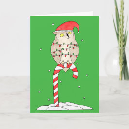 Christmas Owl Cute Funny Helgkort