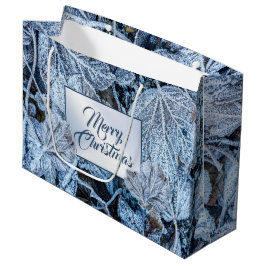 Christmas Party Blue Leaves Snow Winter Holidays