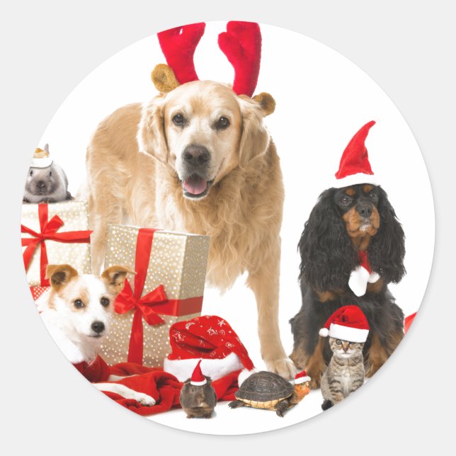 CHRISTMAS PETS STICKER RUNT KLISTERMÄRKE (Framsida)