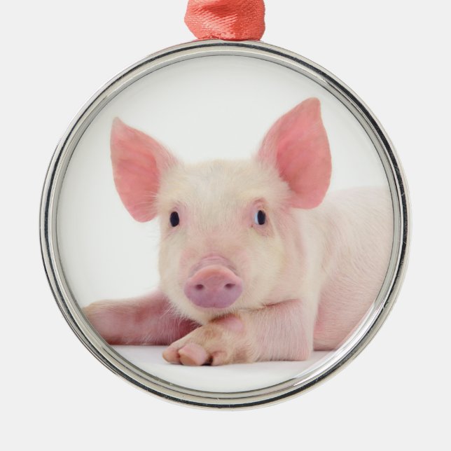 "CHRISTMAS PIGGY" CHRISTMAS ORNAMENT (Framsidan)