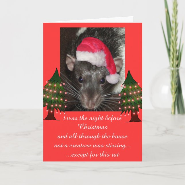 Christmas rats helgkort (Framsida)