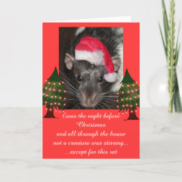 Christmas rats helgkort
