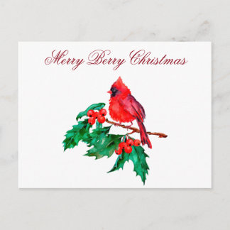 Christmas Red Cardinal Bird on Holly Berry Branch  Vykort