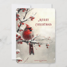 Christmas Red Cardinal Holiday Card