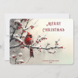 Christmas Red Cardinal Holiday Card Julkort