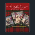 CHRISTMAS Red Tartan Photo Collage Flygblad<br><div class="desc">Lägg till tre foton och din egen text för att anpassa det här moderna trendigets fotokollage jul eller helgdagar hälsning-flygare. De gör vackra keepsakes (kan ramas in). Lägg till foton av familj, husdjur (hund, katt, häst, hamster, gässling, orm, kanin osv.). helgdagar, vänner, hobbieser, seleds, instagram bilder så som du vill...</div>