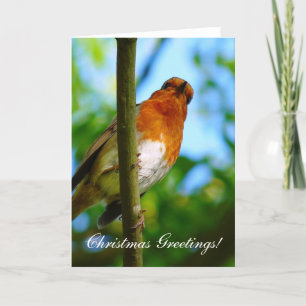 CHRISTMAS ROBIN HELGKORT