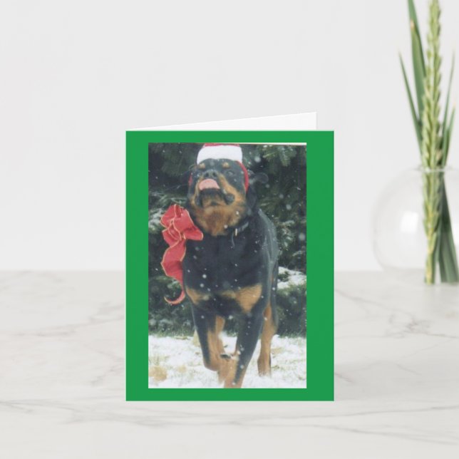 christmas rottweiler w/ Santa hat scarf i snö Kort (Framsida)