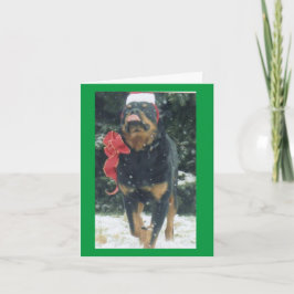 christmas rottweiler w/ Santa hat scarf i snö Kort