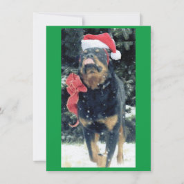 christmas rottweiler w/ tomhatt, rödbog, i snö inbjudningar