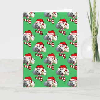 Christmas Santa Dog Custom Photo Pattern Kort