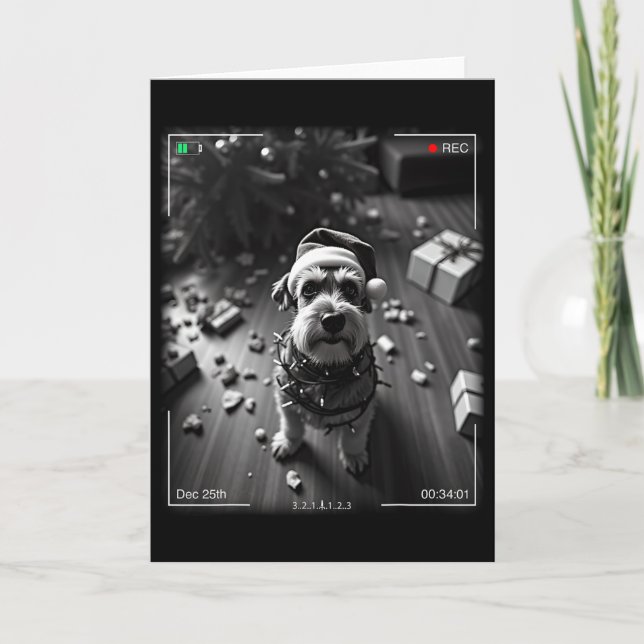Christmas Schnauzer Caught On Camera  Kort (Framsida)