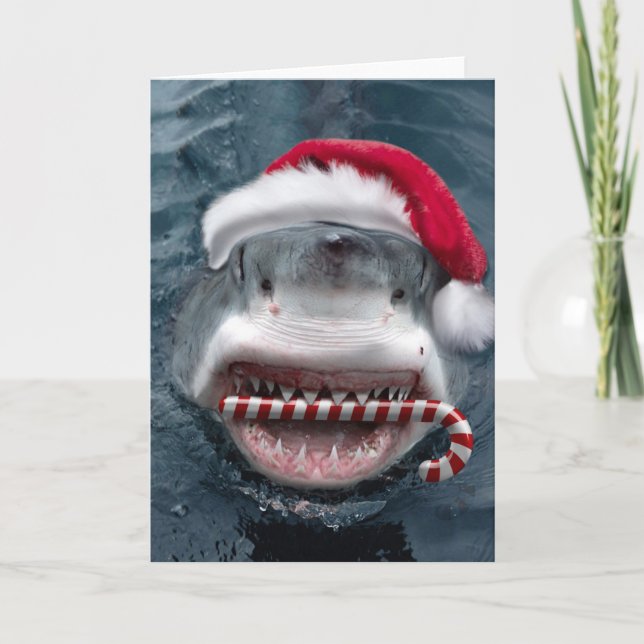 Christmas Shark Kort (Framsida)