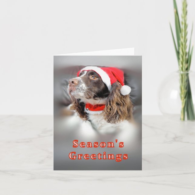 Christmas Springer Spaniel Kort (Framsida)