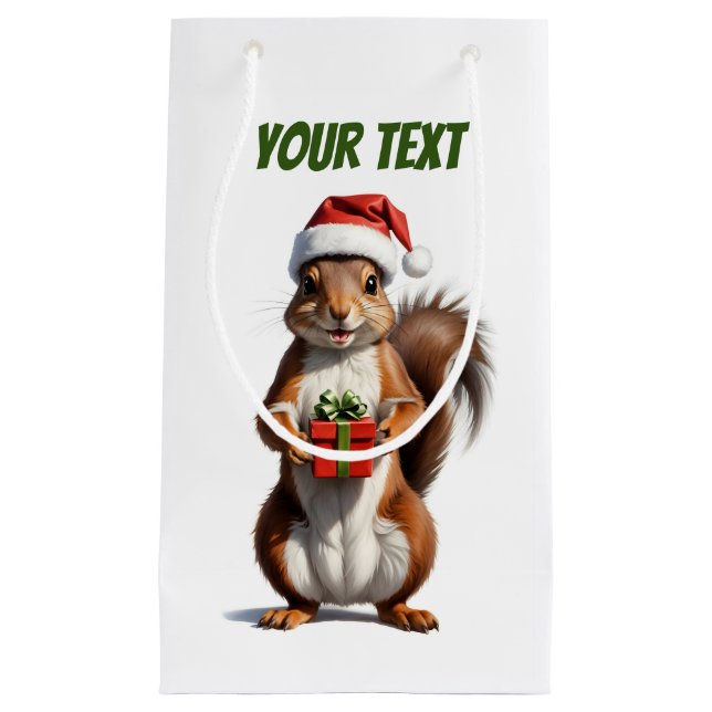 christmas squirrel (Framsidan)
