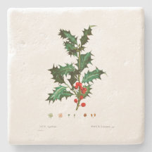 CHRISTMAS STONE UNDERLÄGG: HOLLY: REDOUTÉ