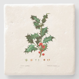 CHRISTMAS STONE UNDERLÄGG: HOLLY: REDOUTÉ STENUNDERLÄGG