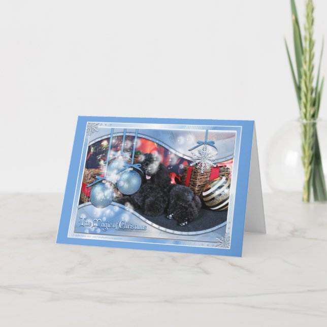 Christmas - Toby - Poodle Helgkort (Framsida)