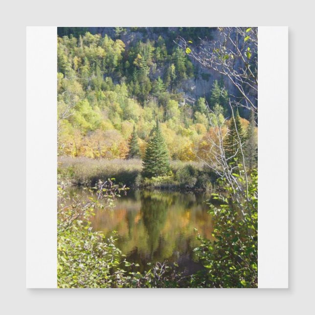 Christmas Tree holiday card, magnetic card (Framsida)