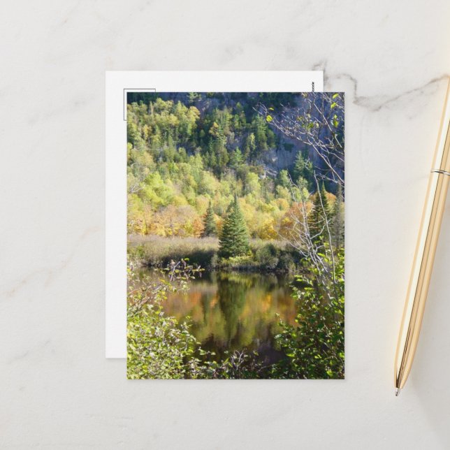 Christmas Tree holiday postcard Helg Vykort (Fram/Back In Situ)