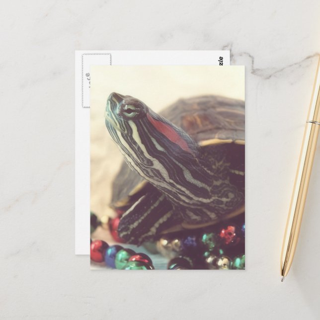 Christmas Turtle Vykort (Fram/Back In Situ)