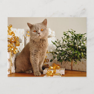 Christmas-vykort Vykort