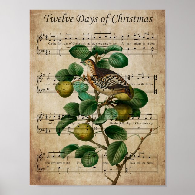 Christmas Wall Art-Partridge in a Pear Tree Poster (Framsidan)