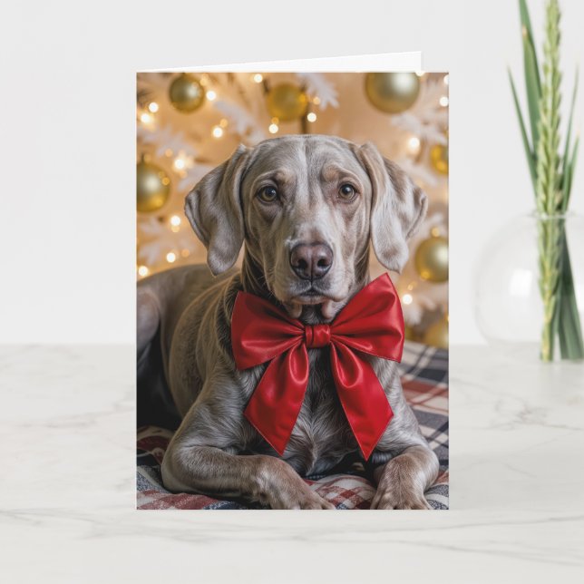 Christmas Weimaraner Dog With Red Bow Kort (Framsida)