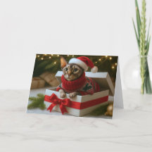 Christmas Whiskers & Wrinkles Card