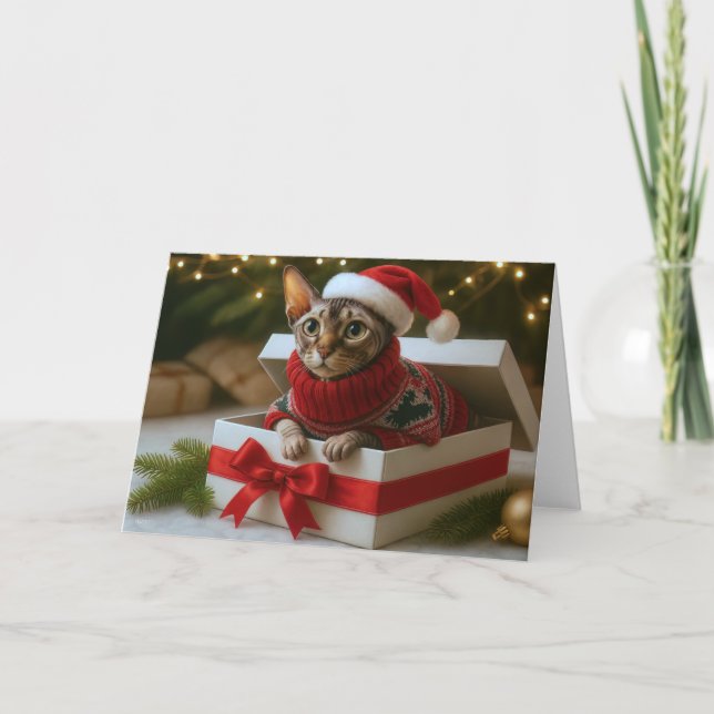 Christmas Whiskers & Wrinkles Card Helgkort (Framsida)