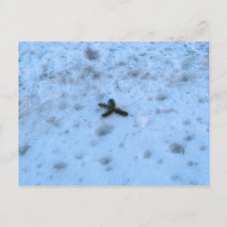 Christmastime i New England Helg Vykort