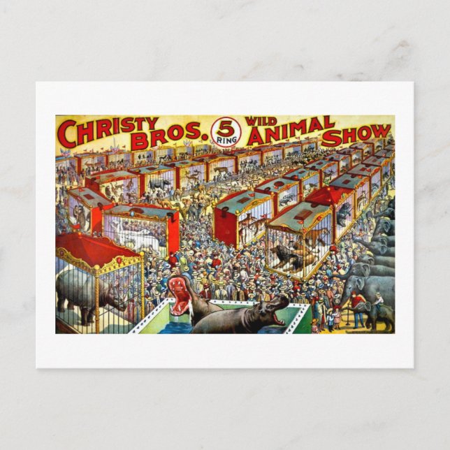 Christys Vild Animal Show - Vintage Vykort (Framsida)