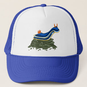 Chromadoris Nudibranch Keps