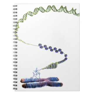 Chromatin Anteckningsbok
