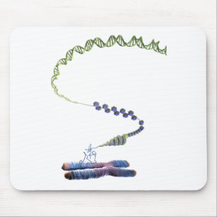 Chromatin Musmatta