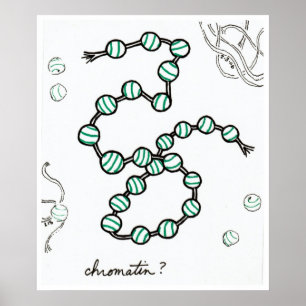 Chromatintryck Poster