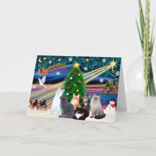 Chrstmas Magic - Sex katter (sort) Helgkort