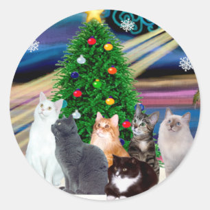 Chrstmas Magic - Sex katter (sort) Runt Klistermärke