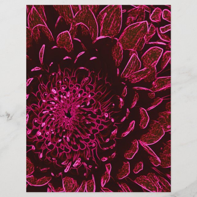Chrysanthemum (Framsida)
