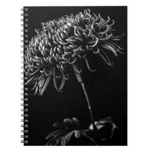 Chrysanthemum Anteckningsbok
