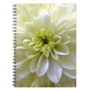 CHRYSANTHEMUM ANTECKNINGSBOK