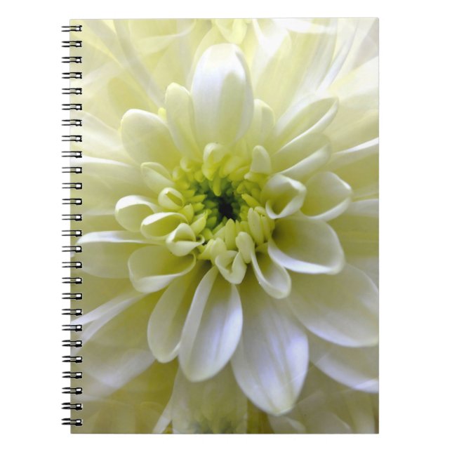 CHRYSANTHEMUM ANTECKNINGSBOK (Framsidan)