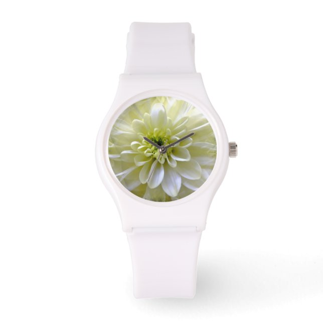 CHRYSANTHEMUM ARMBANDSUR (Framsida)