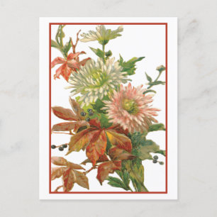 Chrysanthemum Autumn Fine Art Vykort