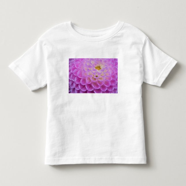 Chrysanthemum blomma som dekorerar gravplatsen i t-shirt (Framsida)